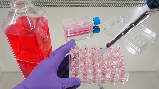 [SK25-​50PR-98] Dulbecco’s Phosphate Buffered Saline without Calcium, Magnesium and Phenol red